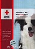 Top 20 Must‑Read Books for Dog Health & Care