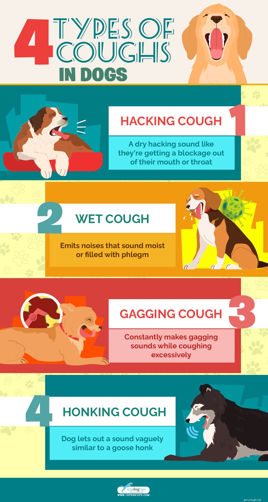 Understanding Dog Coughing, Gagging, and Choking: Signs, Causes, and Effective Treatments
