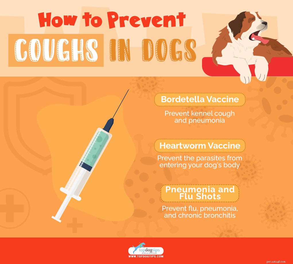 Understanding Dog Coughing, Gagging, and Choking: Signs, Causes, and Effective Treatments