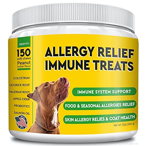 Dog Eye Allergies: Symptoms, Causes & Effective Treatments