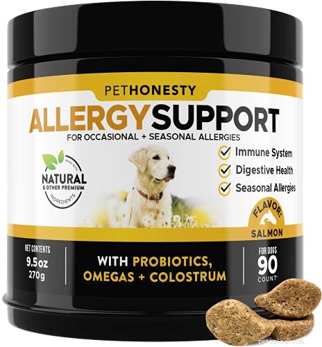 Dog Eye Allergies: Symptoms, Causes & Effective Treatments