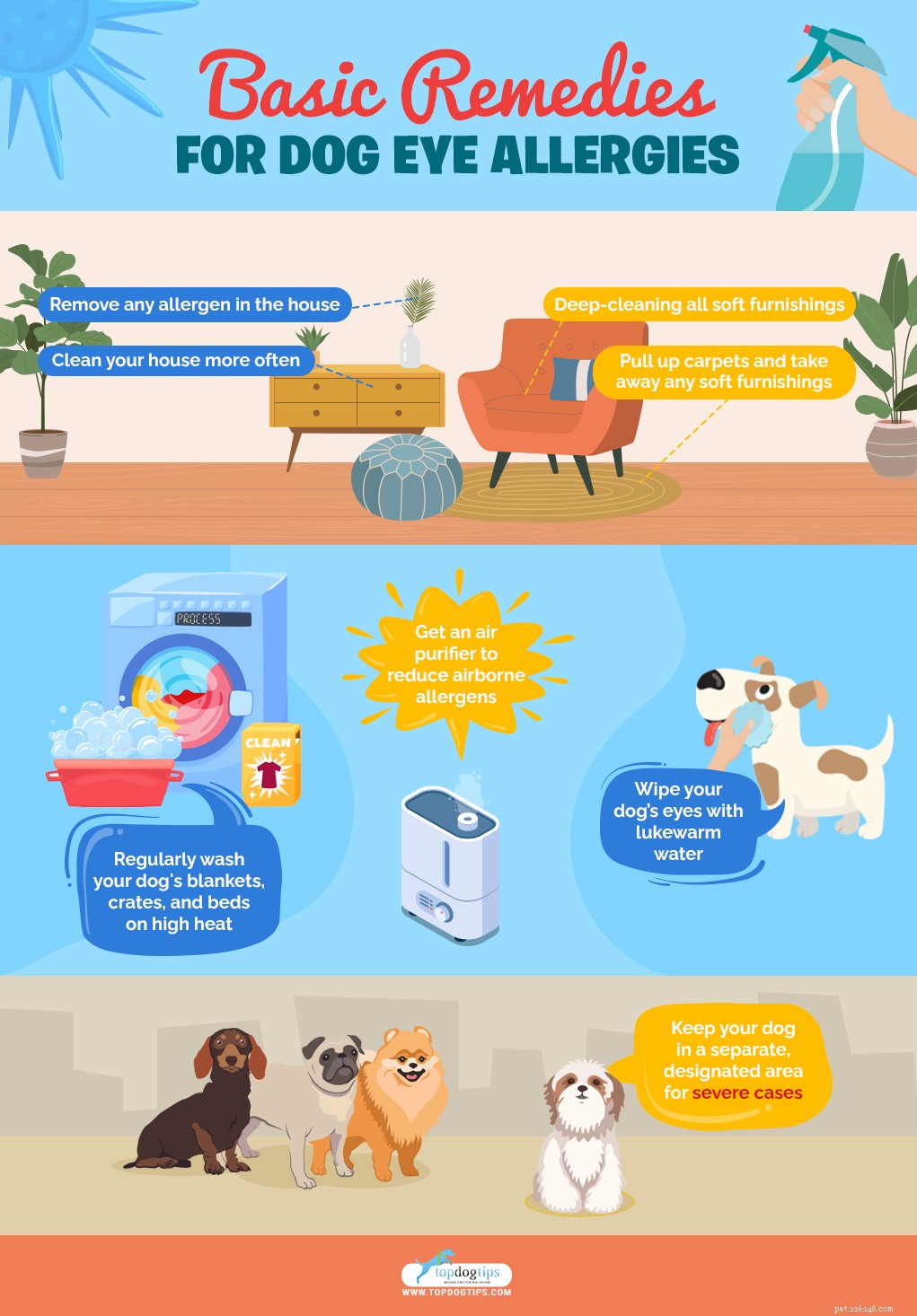 Dog Eye Allergies: Symptoms, Causes & Effective Treatments