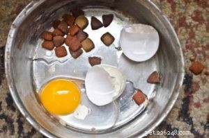 Safe Human Foods for Your Dog: What You Can Share