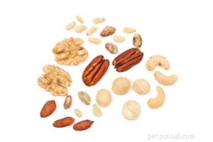 Safe Human Foods for Your Dog: What You Can Share