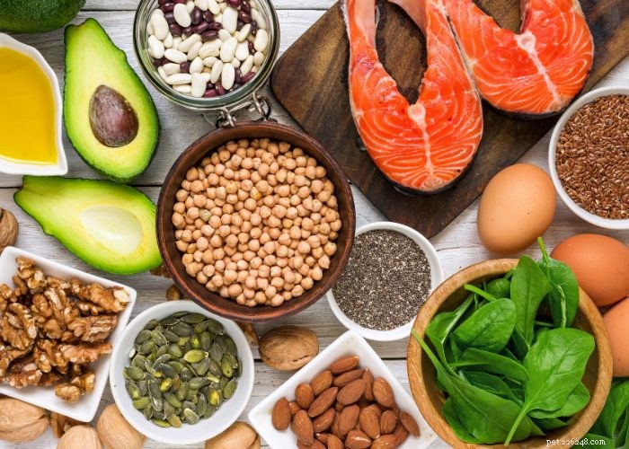Dog Seizures: 5 Proven Natural Remedies That Deliver Results