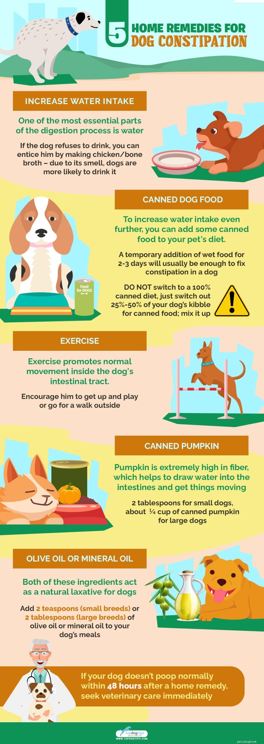Effective Home Remedies for Treating Dog Constipation