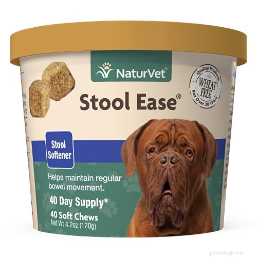 Effective Home Remedies for Treating Dog Constipation