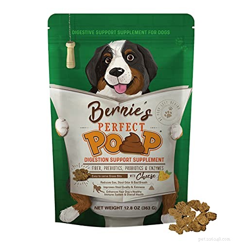 Effective Home Remedies for Treating Dog Constipation