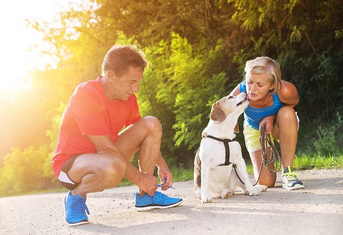 Mastering Canine Running: Essential Do s & Don ts for a Healthy, Successful Workout