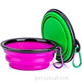 Mastering Canine Running: Essential Do s & Don ts for a Healthy, Successful Workout