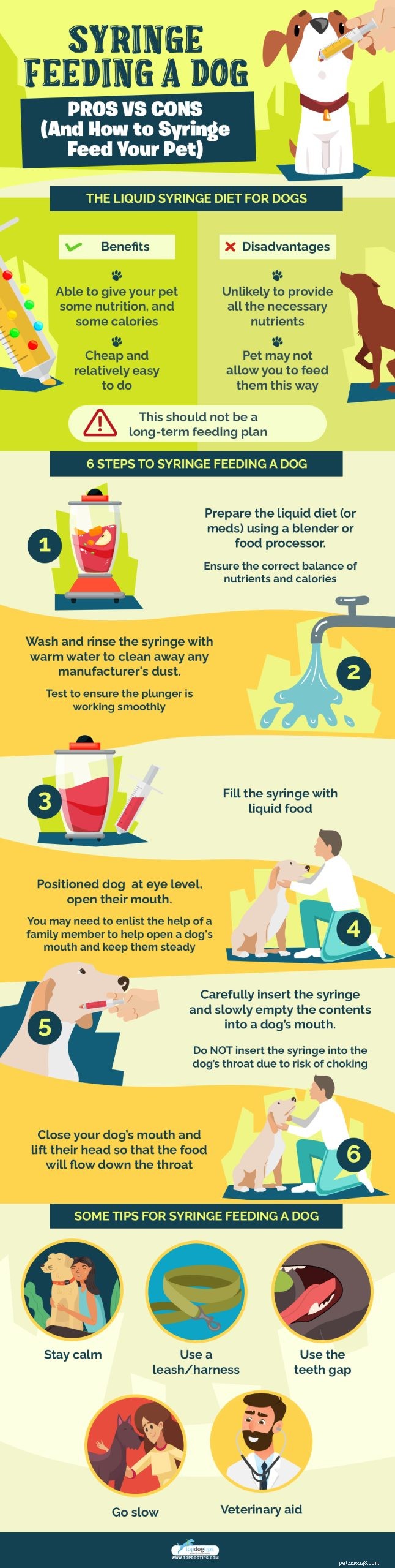 Syringe Feeding Dogs: Pros, Cons, and Step‑by‑Step Guide