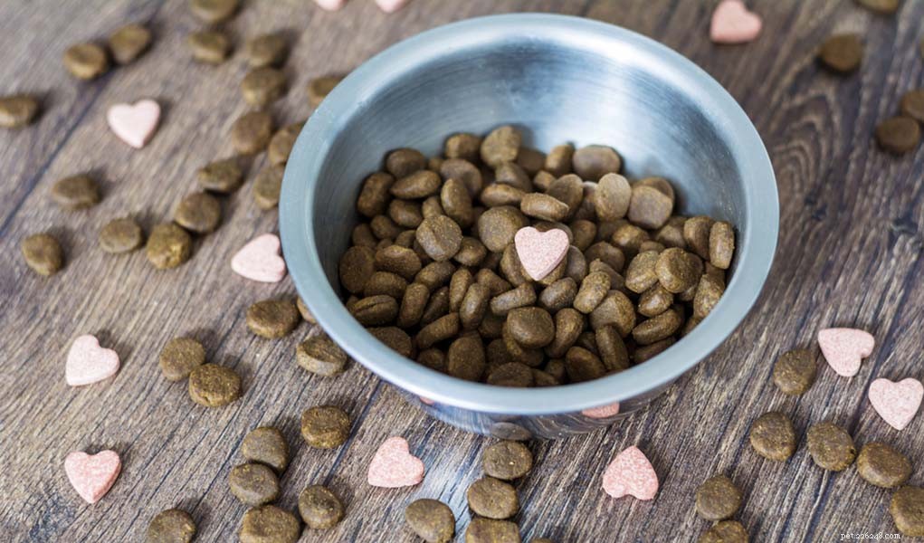 Prebiotics for Dogs: 6 Key Insights Every Owner Should Know