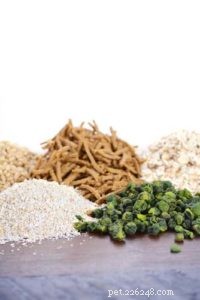Prebiotics for Dogs: 6 Key Insights Every Owner Should Know