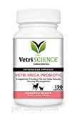 Prebiotics for Dogs: 6 Key Insights Every Owner Should Know