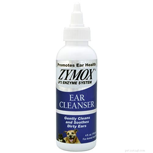 Managing Water in Your Dog’s Ears: Easy Steps for Comfort and Prevention