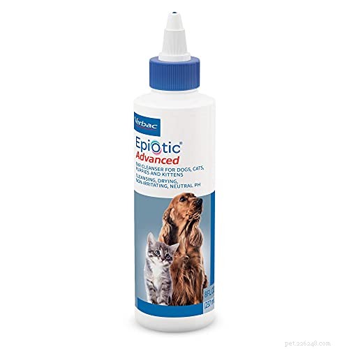 Managing Water in Your Dog’s Ears: Easy Steps for Comfort and Prevention