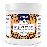 Managing Water in Your Dog’s Ears: Easy Steps for Comfort and Prevention