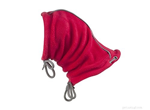Managing Water in Your Dog’s Ears: Easy Steps for Comfort and Prevention