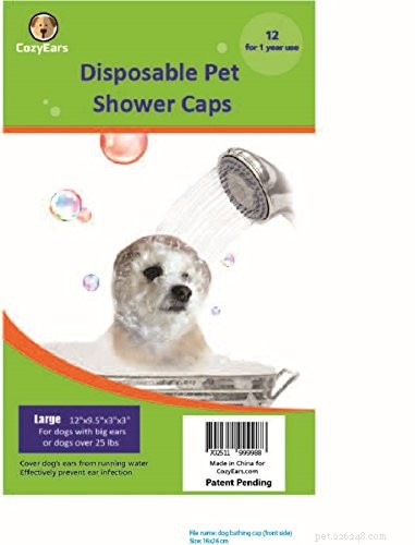 Managing Water in Your Dog’s Ears: Easy Steps for Comfort and Prevention