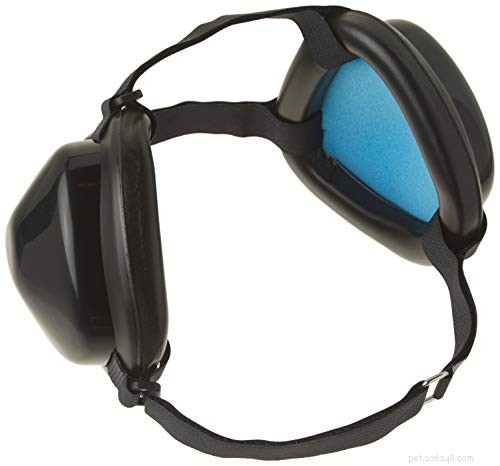 Managing Water in Your Dog’s Ears: Easy Steps for Comfort and Prevention