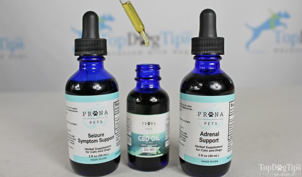 Prana Pets: Trusted Natural Dog Remedies – In-Depth Review