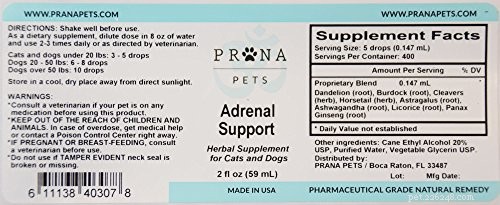 Prana Pets: Trusted Natural Dog Remedies – In-Depth Review