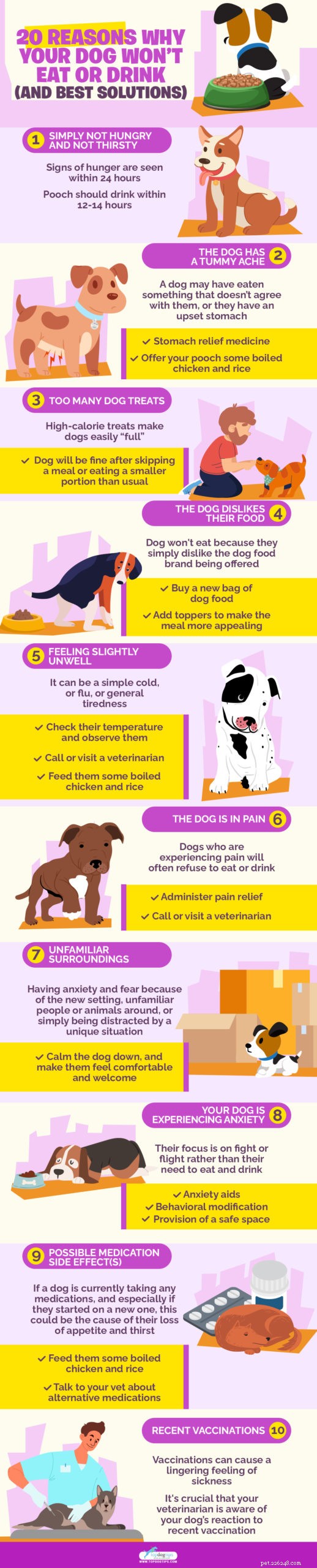 20 Expert Reasons Your Dog Won’t Eat or Drink (And Proven Solutions)