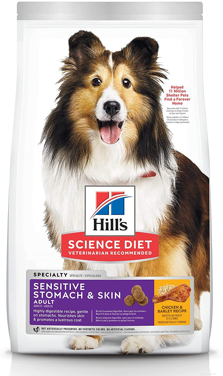 12 Proven Strategies to Prevent and Treat Dog Anal Gland Issues