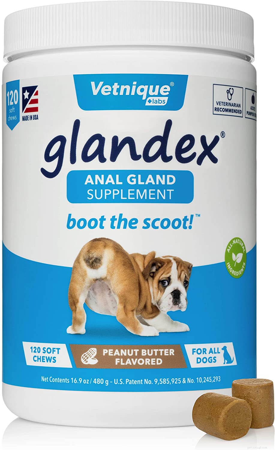 12 Proven Strategies to Prevent and Treat Dog Anal Gland Issues