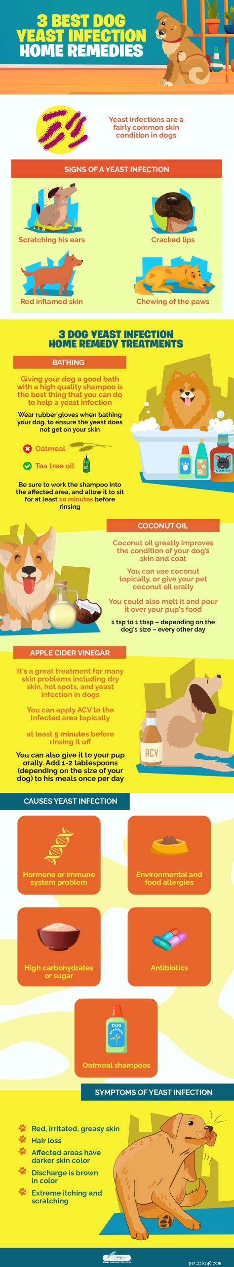 Top 3 Effective Home Remedies for Treating Dog Yeast Infections