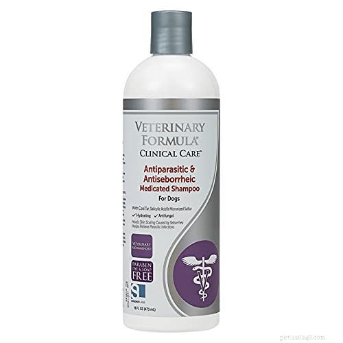 Top 3 Effective Home Remedies for Treating Dog Yeast Infections