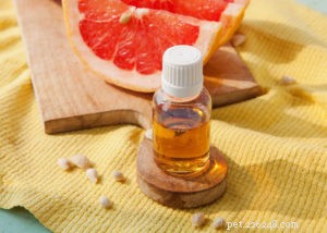 Effective Natural Remedies for Giardia in Dogs: Safe Home Treatments & Prevention Tips