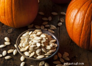 Effective Natural Remedies for Giardia in Dogs: Safe Home Treatments & Prevention Tips