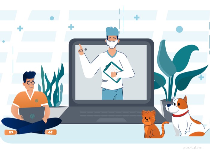 Effective Natural Remedies for Giardia in Dogs: Safe Home Treatments & Prevention Tips