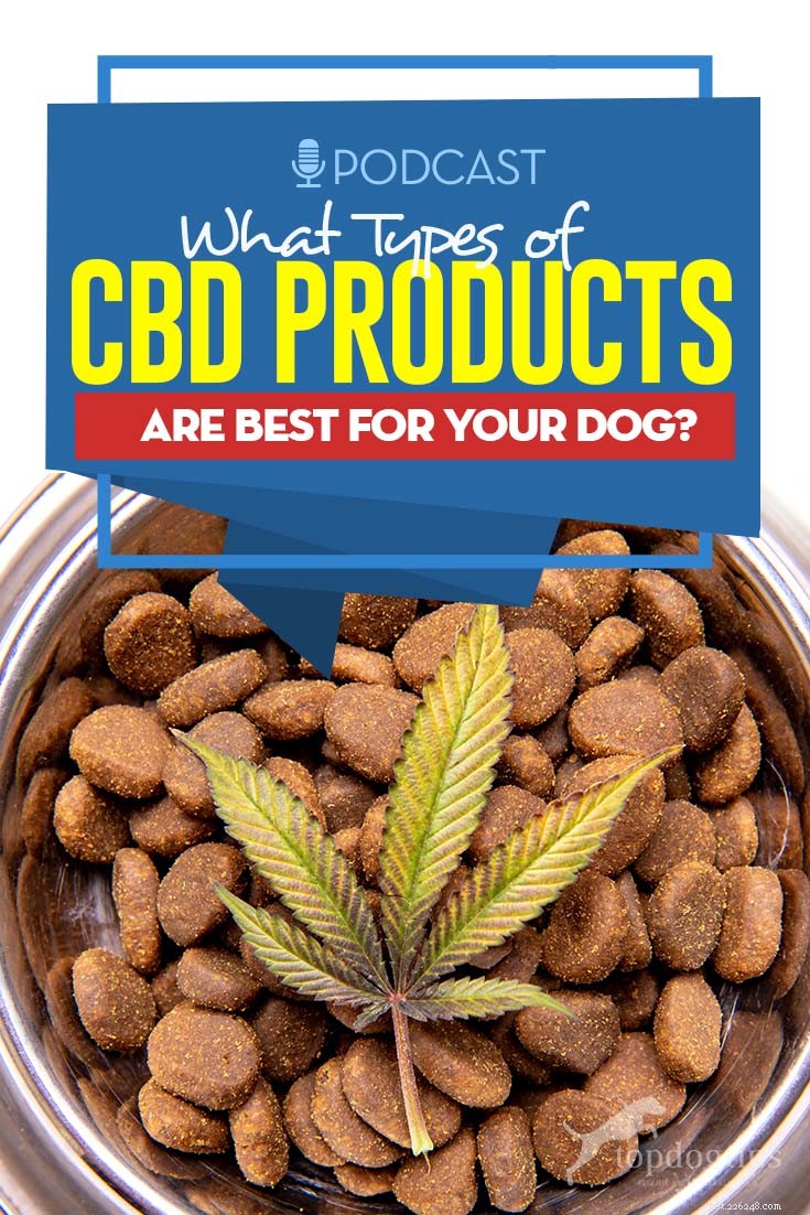 Choosing the Right CBD Products for Your Dog: An Expert Guide