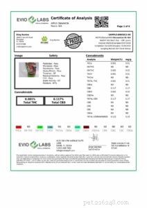 King Kalm CBD Dog Treats: Expert Review on Pet Wellness
