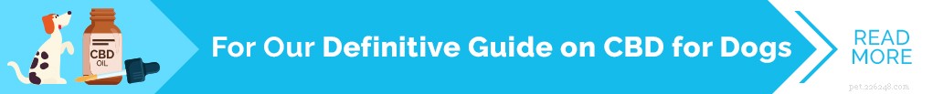 Canna-Pet Hemp Products for Dogs – Effectiveness & Safety Reviewed