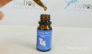Canna-Pet Hemp Products for Dogs – Effectiveness & Safety Reviewed