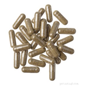 Canna-Pet Hemp Products for Dogs – Effectiveness & Safety Reviewed