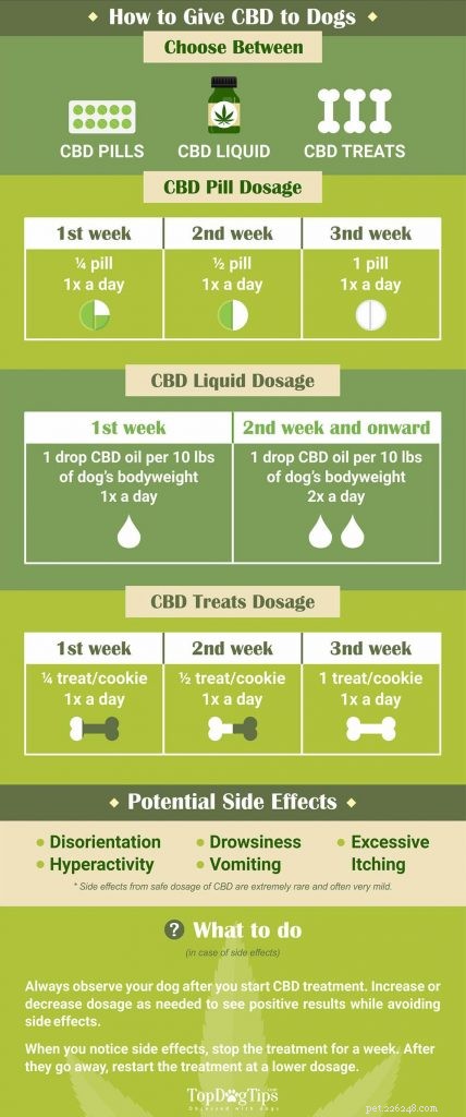 Why CBD Benefits Dogs: 9 Proven Reasons & Safe Administration Tips