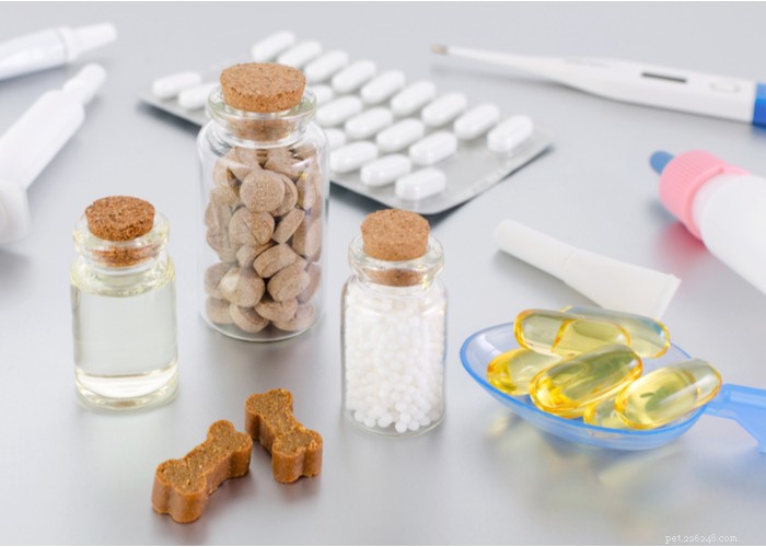 Dog Supplements: Are Vitamins Really Worth It? Pros & Cons Explained