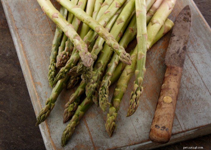 Top 10 Natural Diuretics for Dogs: Safe Foods, Herbs, and Supplements