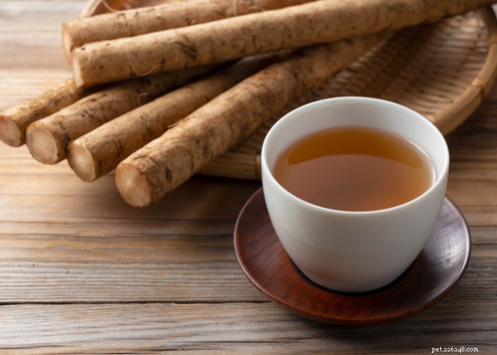 Top 10 Natural Diuretics for Dogs: Safe Foods, Herbs, and Supplements