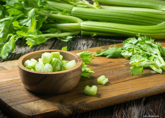 Top 10 Natural Diuretics for Dogs: Safe Foods, Herbs, and Supplements