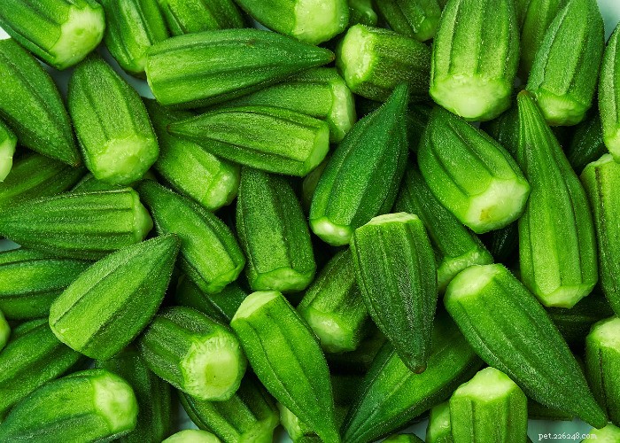 Top 10 Natural Diuretics for Dogs: Safe Foods, Herbs, and Supplements