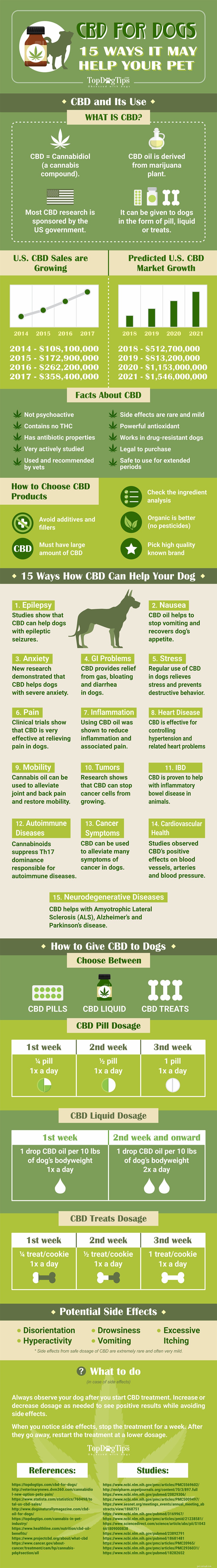 CBD for Dogs: 15 Proven Benefits for Your Pet s Health
