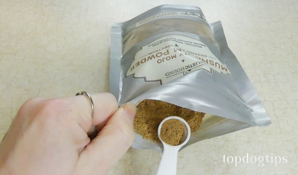 Holistic Hound Hemp Balm & Mushroom Powder for Dogs: An In-Depth Review