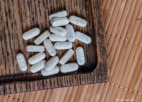 17 Proven Herbal Remedies to Keep Your Dog Healthy