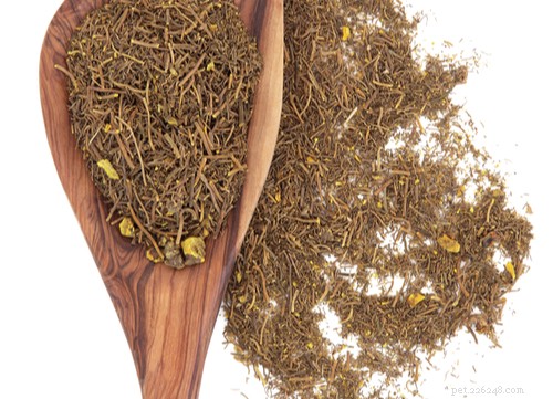 17 Proven Herbal Remedies to Keep Your Dog Healthy