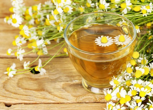 17 Proven Herbal Remedies to Keep Your Dog Healthy